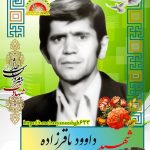 شهید داود باقرزاده