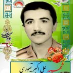 شهید علی اکبر تیموری