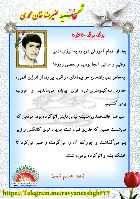 خاطرات شهید علیرضا خان‎ محمدی