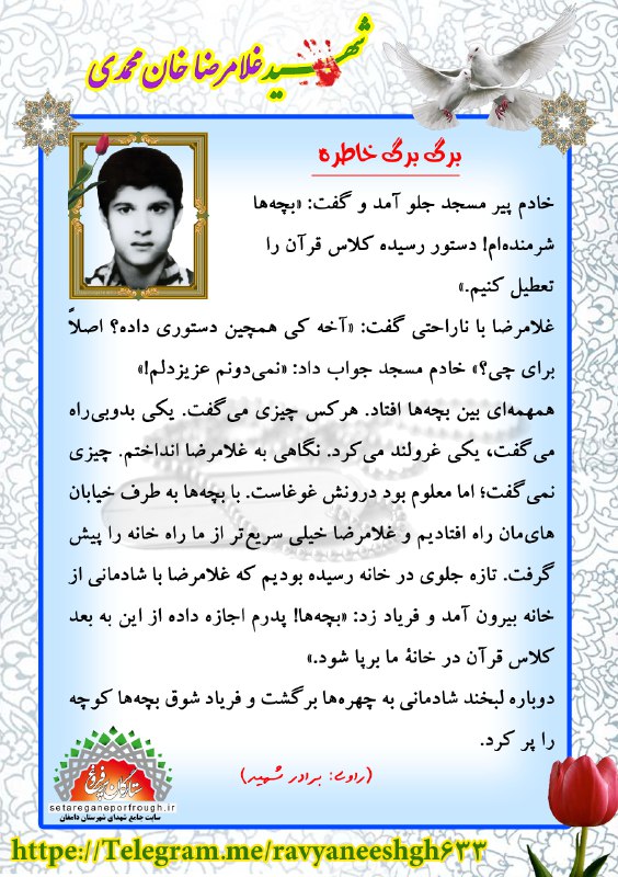خاطرات شهید غلامرضا خان محمدی