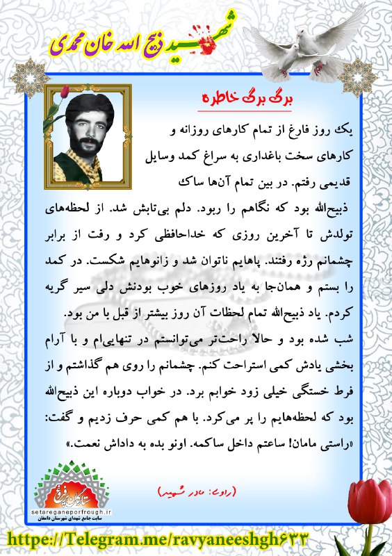 خاطرات شهید ذبیح الله خان محمدی