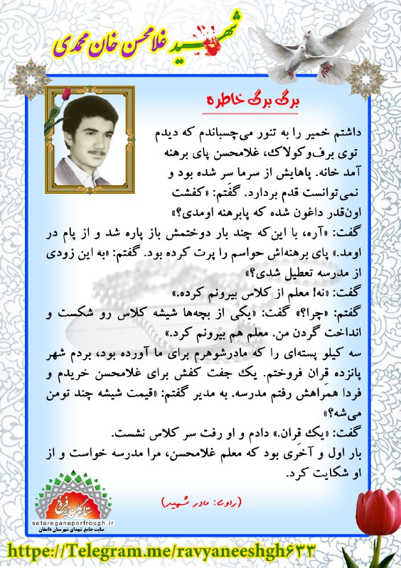 خاطرات شهید غلامحسن خان محمدی