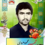 شهید محمود هروی