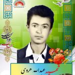 شهید عبدالله هروی