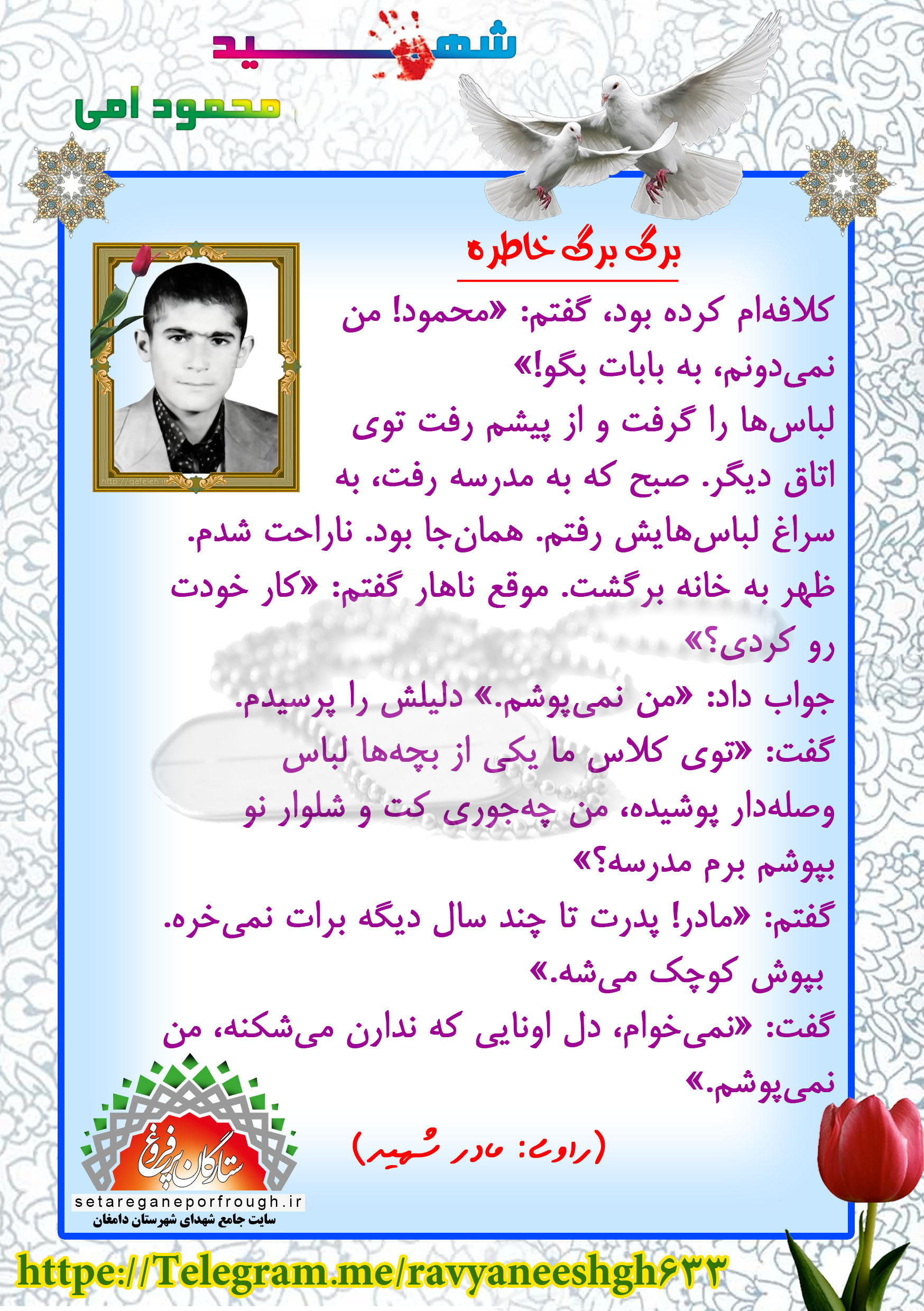 خاطرات شهید محمود امی