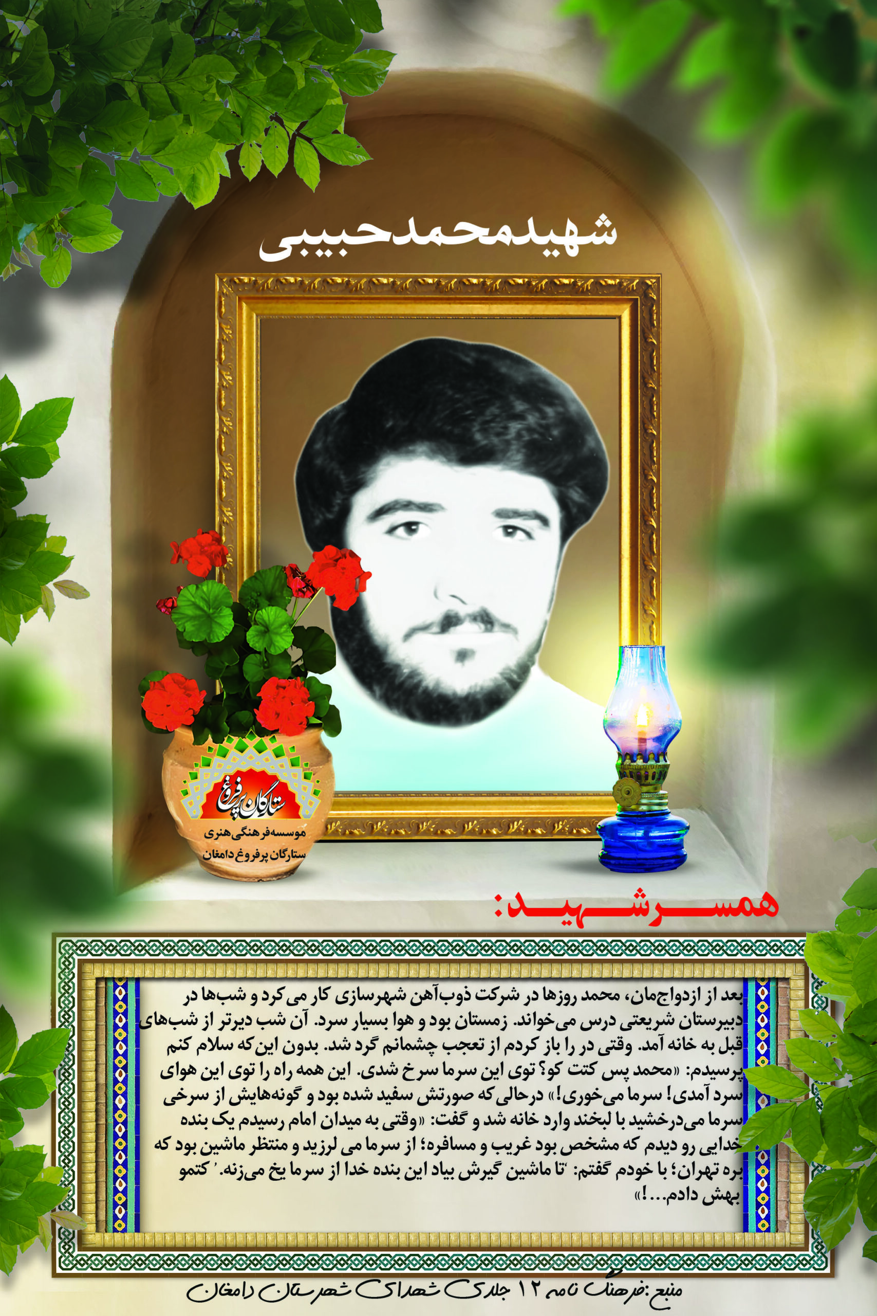 حبیبی محمد