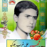 شهید علی غریب بلوک