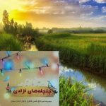 چلچله های آزادی