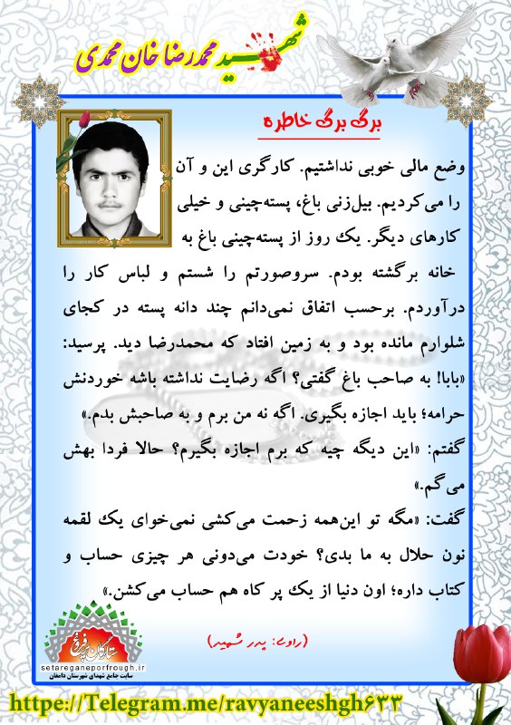 خاطرات شهید محمدرضا خان محمدی