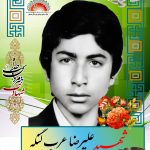 شهید علیرضا عرب لنگه