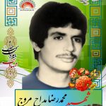 شهید محمدرضا مداح مروج