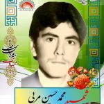 شهید محمدحسین مربی