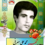 شهید محمدعلی معرفی