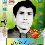 شهید محمدرضا کردی