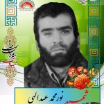 شهید نورمحمد عبدالهی